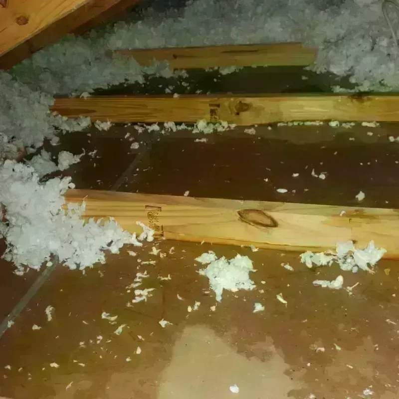 Attic Water Damage in Sycamore, IL